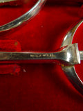 26/0934 antique maxwell piccadilly london riding boot spurs w/ original box